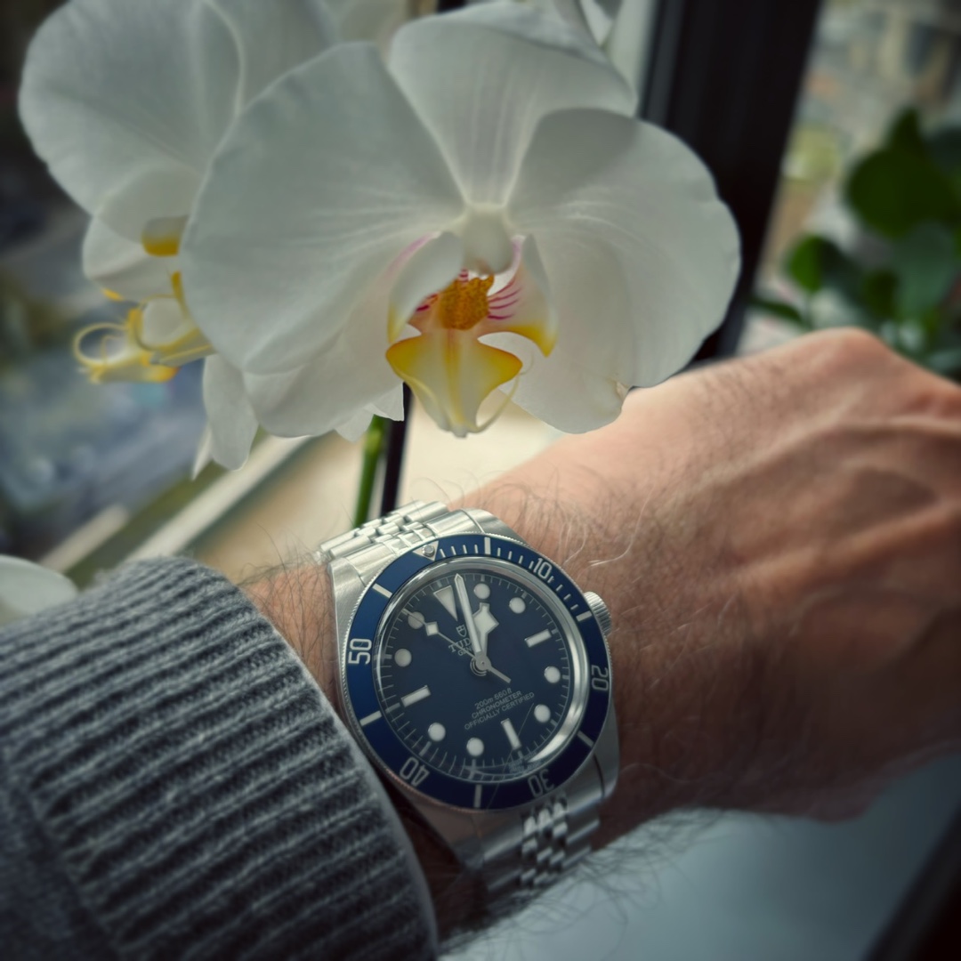 IMG_1864.jpeg