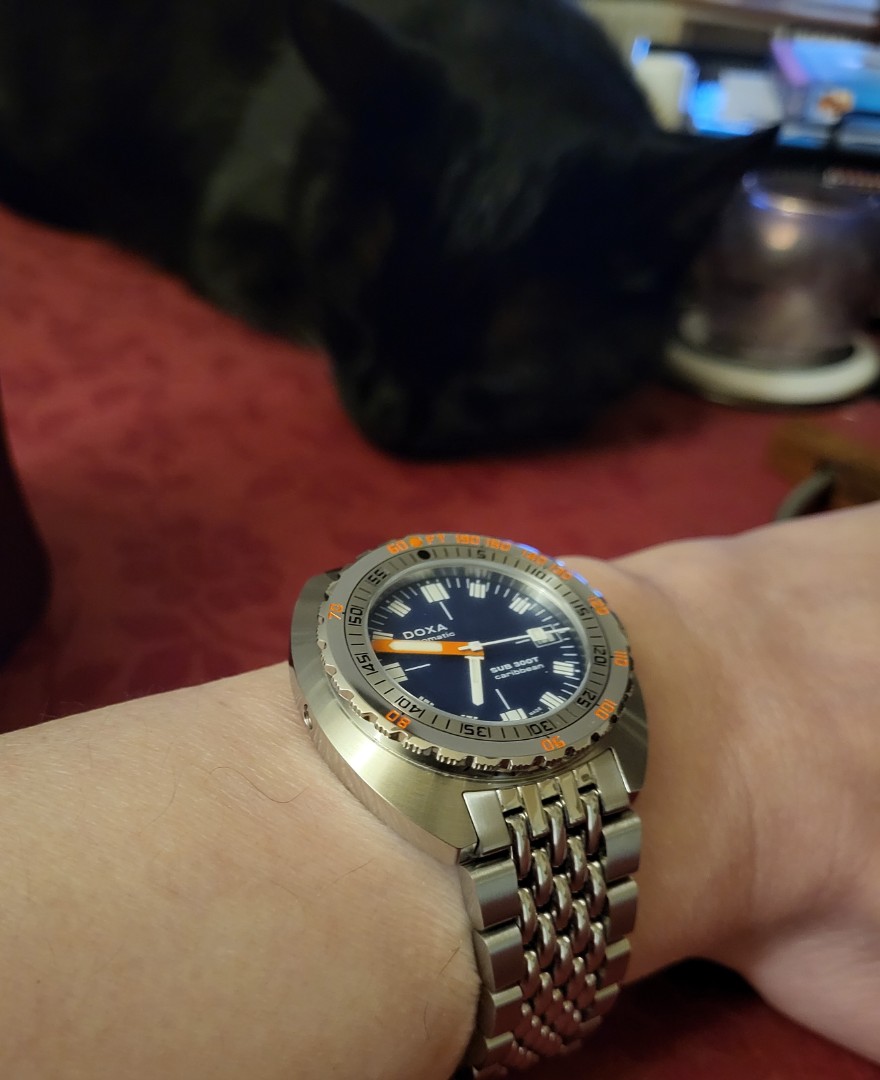 20231108_184801.jpg