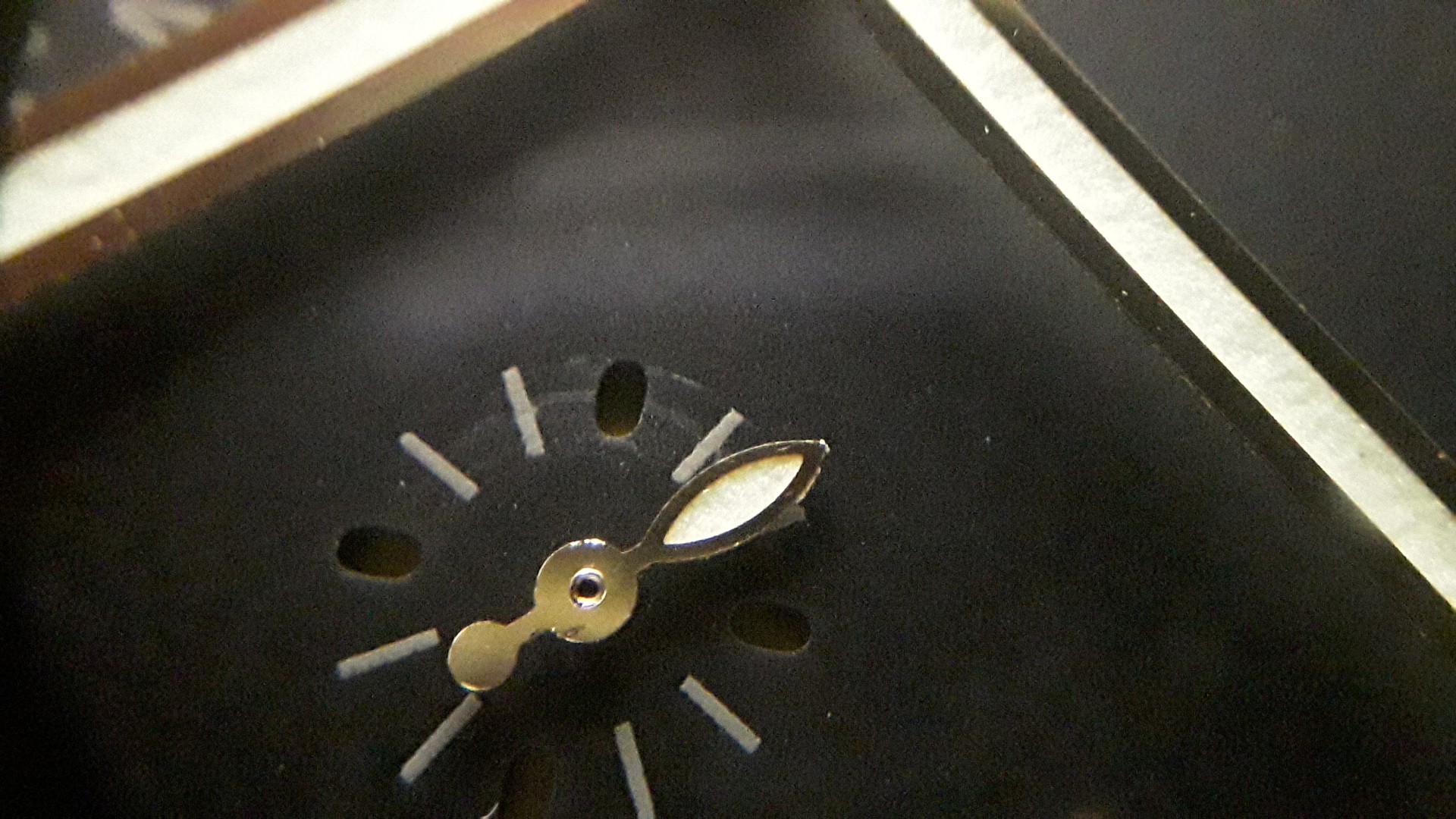 20231204_103648.jpg